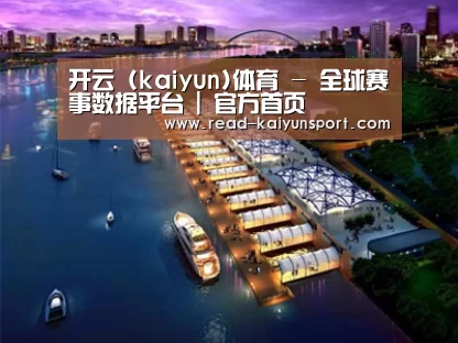 案例展示八